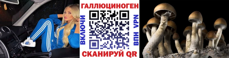 Псилоцибиновые грибы мухоморы  Темрюк 