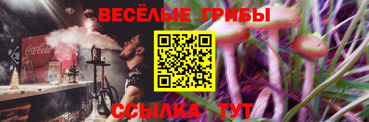 Галлюциногенные грибы мицелий  Галлюциногенные грибы GOLDEN TEACHER  Вход с VPN  Темрюк 