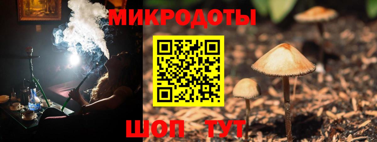 Псилоцибиновые грибы Cubensis Темрюк